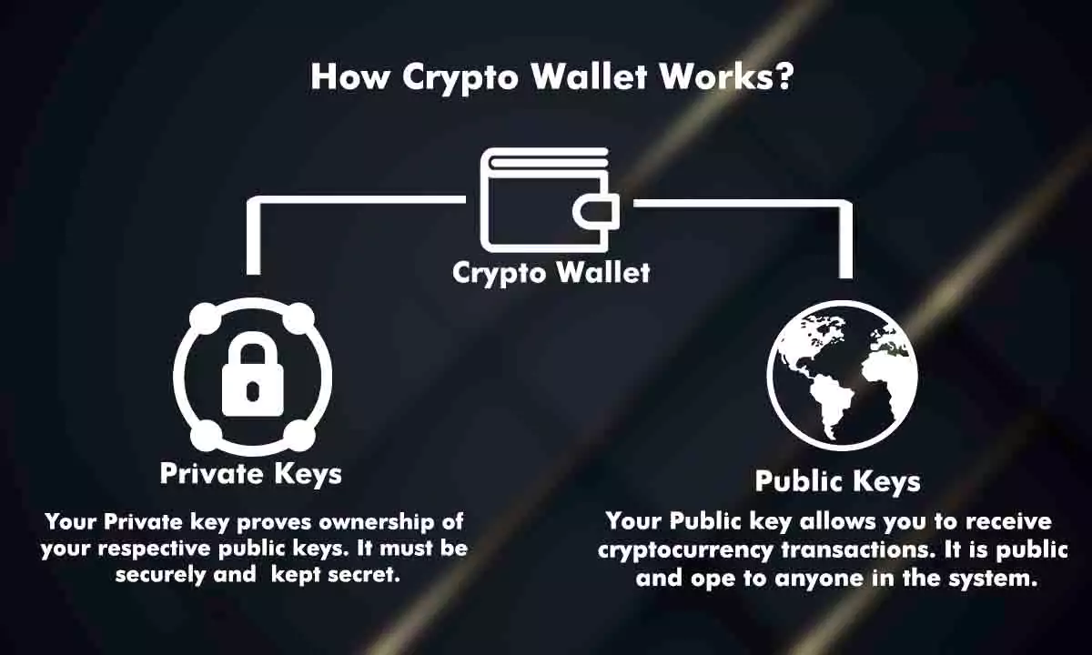 Crypto Wallet: What is it and How it Works?